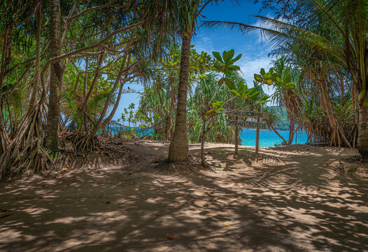 Sea Beach In Phuket Thailand