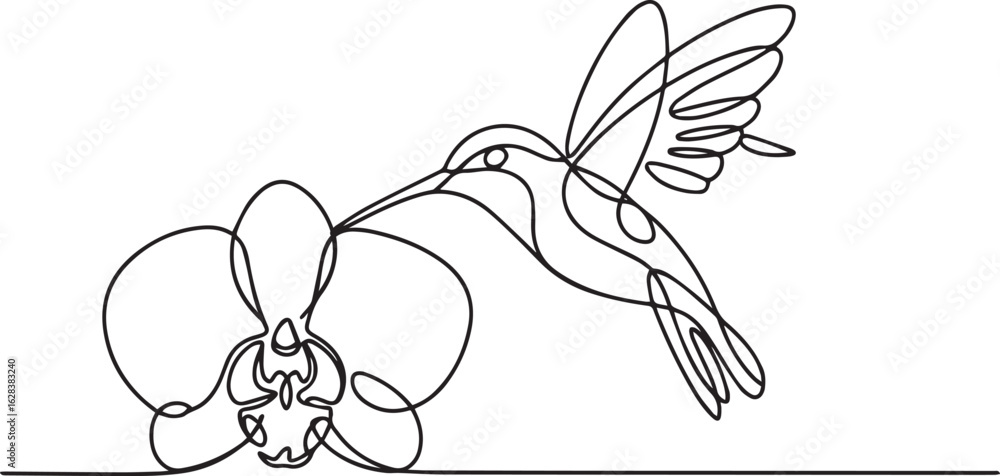 Poster continuous one line drawing of a graceful hummingbird hovering over an orchid flower in a minimalist