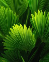 Close-up of vibrant green fan palm fronds