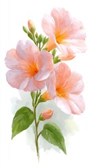 Fototapeta premium Delicate pink flowers with vibrant orange centers bloom on a green stem, creating an elegant visual, This artwork can be used for home decor, greeting cards, or floral-themed promotional materials,
