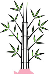 Colorful Bamboo Plant Illustration – Modern Digital Vector on White