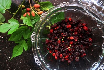sweet juice silkworm mulberry fruit in the glass dish 