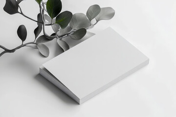 Business Card Mockup