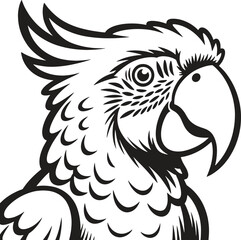 Obraz premium Detailed monochrome drawing of a parrot's head and upper body