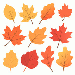 Obraz premium Autumn Leaves fall elements