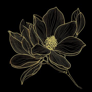 Elegant magnolia floral art