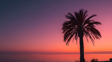 Obraz premium Silhouette of a palm tree against a vibrant sunset over the ocean
