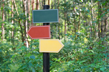 Discover vibrant and colorful directional signs while exploring a verdant and lush forest