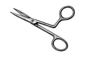 Detailed vintage scissors on white background