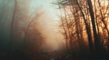 Fototapeta premium Misty forest path at dawn
