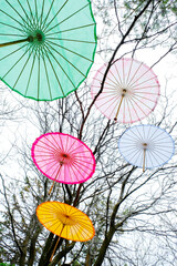 Colorful Decorative Umbrellas Hanging Above in Garden