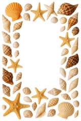 Natural Beach Shells and Starfish Arranged in a Decorative Border Frame on a Black Background