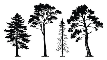 Obraz premium Collection of detailed black silhouette tree shapes provides versatile visuals for nature advertising and branding graphics.