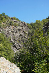 rocks stones trees mountain slope blue sky nature Bulgaria