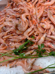 Raw chilled shrimp on crushed ice. Fresh seafood background for culinary projects, menus, or market display. High-quality food concept for commercial use.