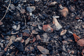 fire on the ground