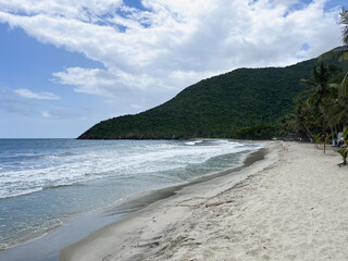 Cuayagua Beach – Venezuela with stunning palm trees lining the shore while waves gently crash...