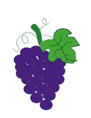 grapes