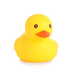 One cute rubber duck isolated on white