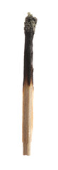 One burnt match isolated on white. Tool for starting fire