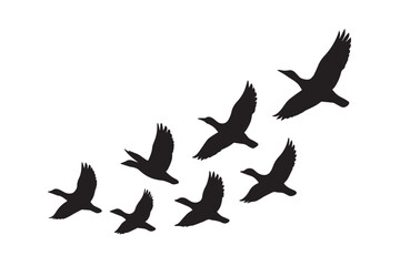 Obraz premium Silhouette of migrating geese in formation