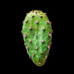 A vibrant green prickly pear cactus pad, ovate in shape, displays numerous small, yellowish-green areoles with tiny spines, set against a pure black backdrop