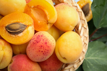 Fresh apricots in wicker basket and green leaves, top view