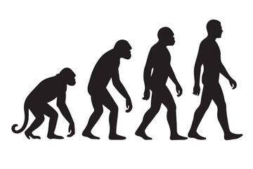 The Process of Human Evolution Silhouette
