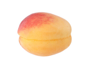 One fresh ripe apricot isolated on white