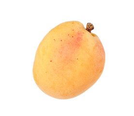 One fresh ripe apricot isolated on white