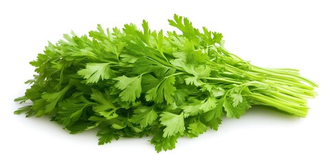 Fresh bunch of bright green parsley on a clean white background ready to use for recipes