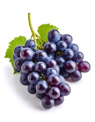 Fototapeta premium Fresh bunch of dark purple grapes