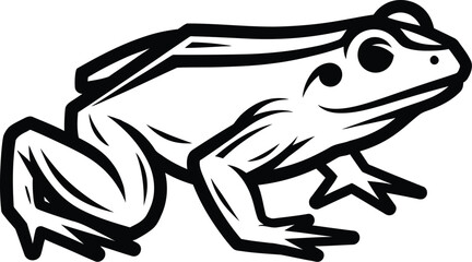 Cartoon frog illustration on a clean white plain background