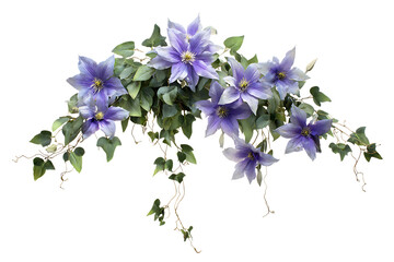 Purple Clematis flower arrangement.