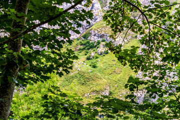 Paisaje en Bulnes, Picos de Europa.