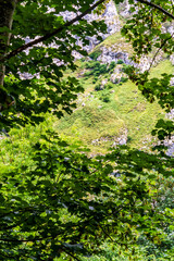 Paisaje en Bulnes, Picos de Europa.