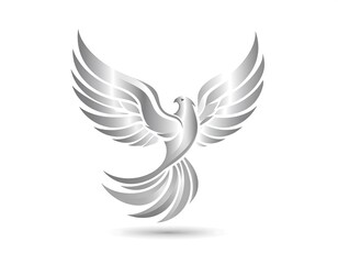 Fototapeta premium Silver dove in flight