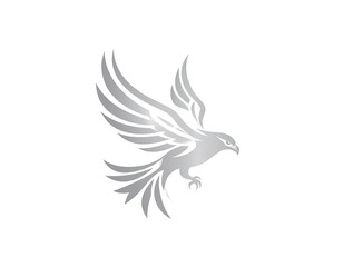 Obraz premium Silver eagle in flight