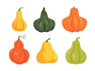 Pumpkins. Flat vector clipart, illustration with isolated background.