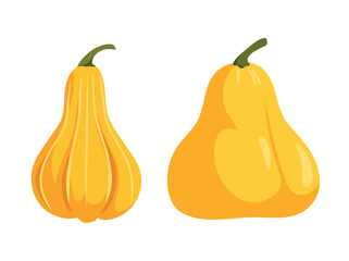 Pumpkins. Flat vector clipart, illustration with isolated background.