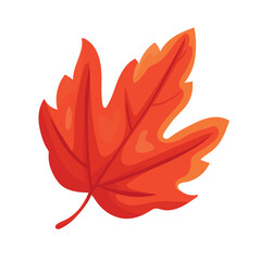 Maple autumn leaf. Flat vector clipart, illustration with isolated background.