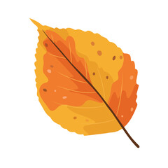Beech autumn leaf. Flat vector clipart, illustration with isolated background.