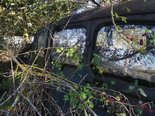 old abandoned car in the nature