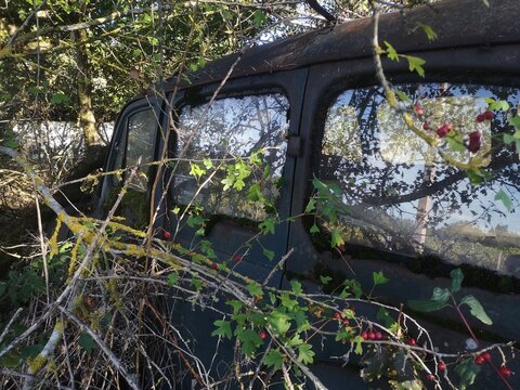 Fototapeta old abandoned car in the nature
