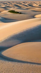 Serene Desert Landscape Dunes, Shadows, and Vegetation in a Sandy Expanse