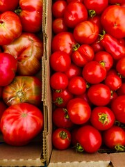 ripe red tomatoes in a boxes at farmers market 