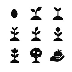A vector icon set illustrating the concept of plant growth, showing the life cycle stages from seed to a fruit-bearing tree.