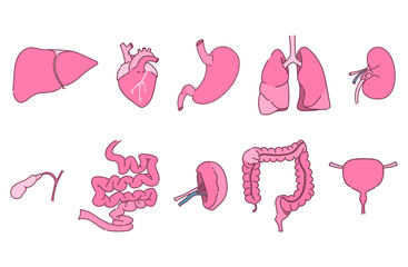 内臓のイラストセット