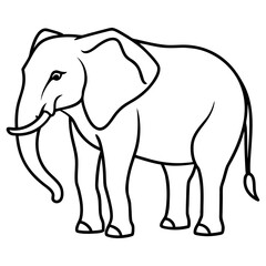 elephant vector illustration