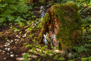 Cute tiny fairy house in the forest